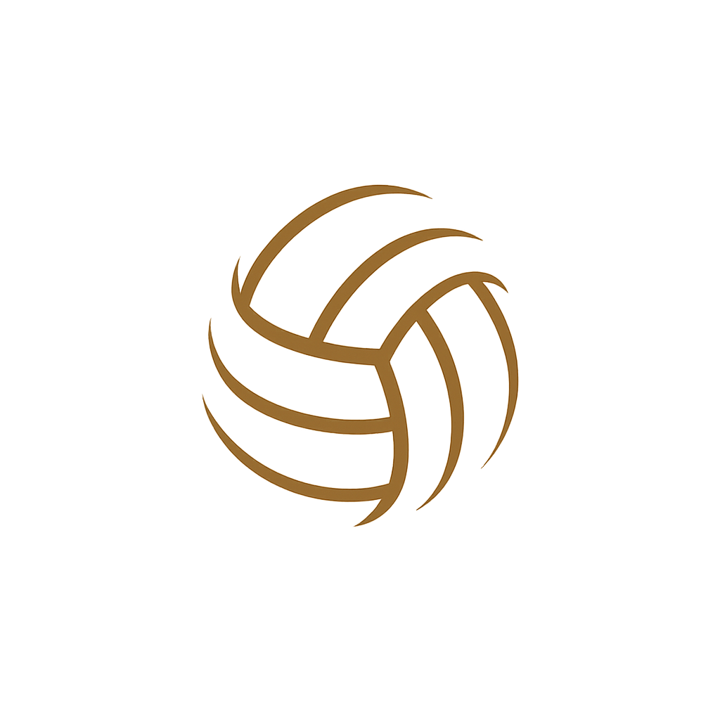 Bola de Vôlei