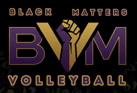 BVM Logo